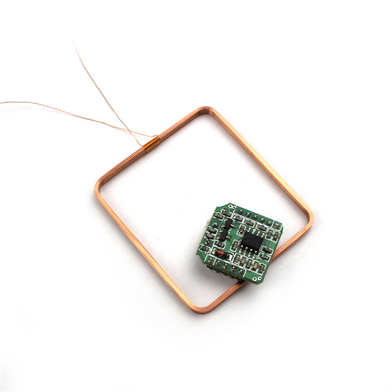 CR005 LF EM4200 Reader Module