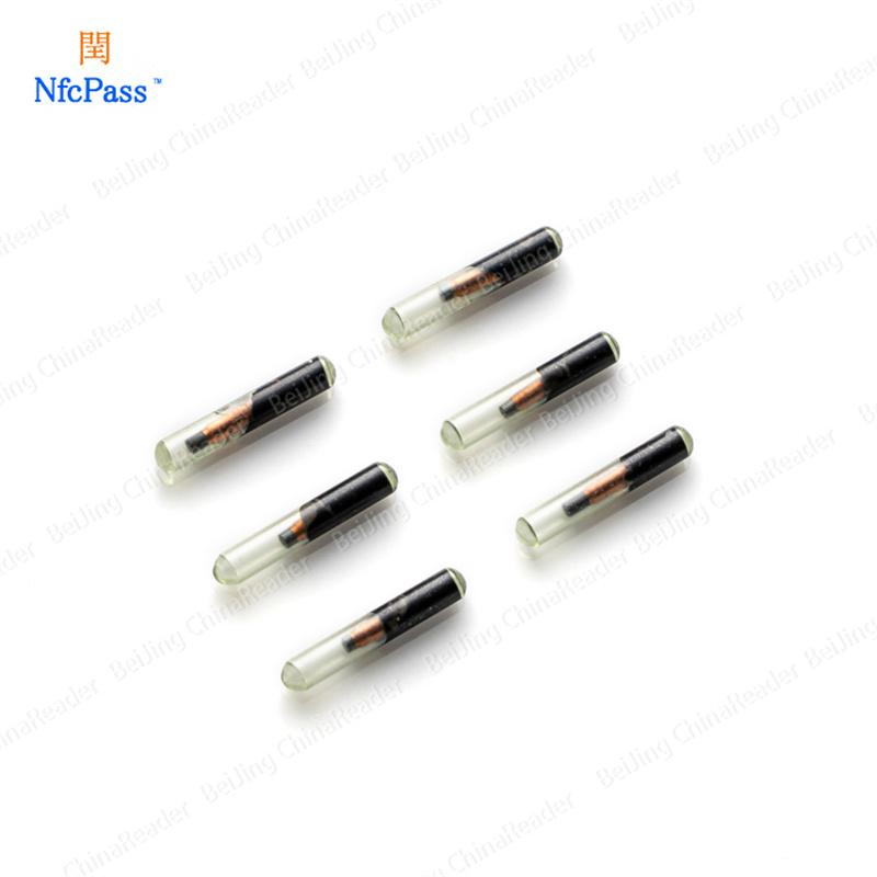 Implantable Animal Id Glass Tag